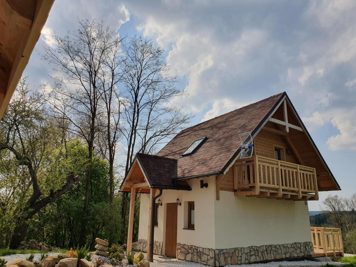 Ferienhaus Oleksowiczowka