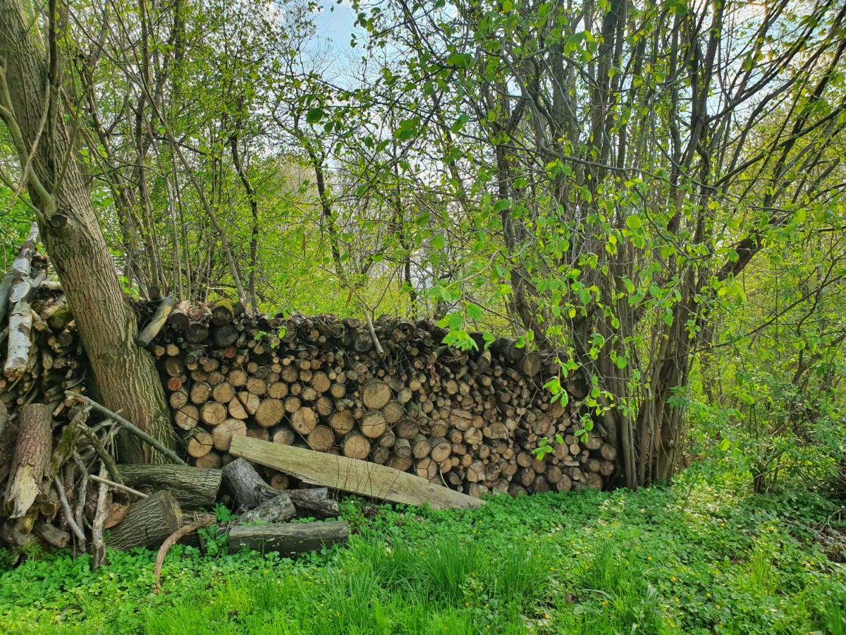 Oleksowiczowka